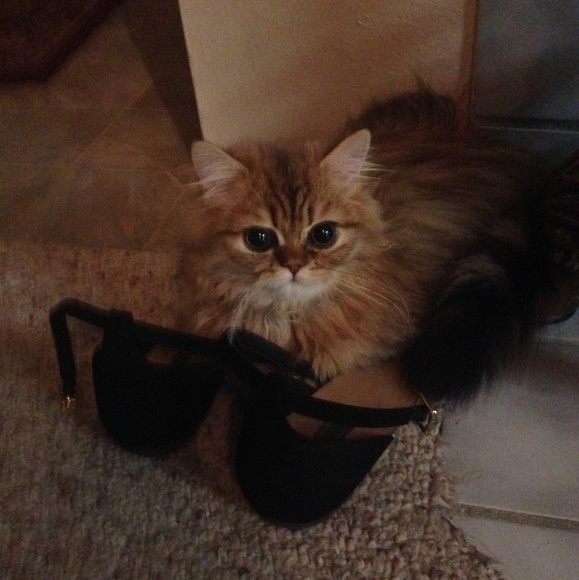 $5 Listings!!! - Picture 1 of 1